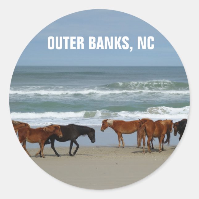 Sticker Rond Banques extérieures de Chevaux sauvages OBX Caroli (Devant)