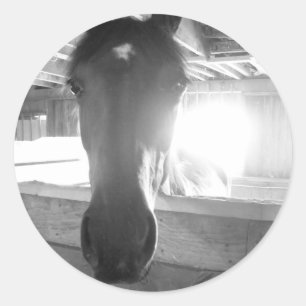 Sticker Rond Barn Horse.Photographie noir et blanc