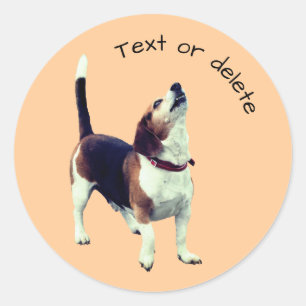 Sticker Rond Beagle Howling Dog Personnalisé