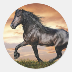Sticker Rond Beau Cheval Noir