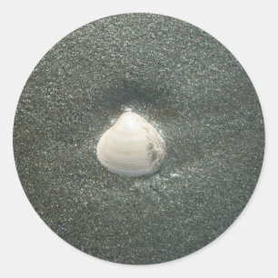 Sticker Rond Beau coquillage dans le sable : Un souvenir salé