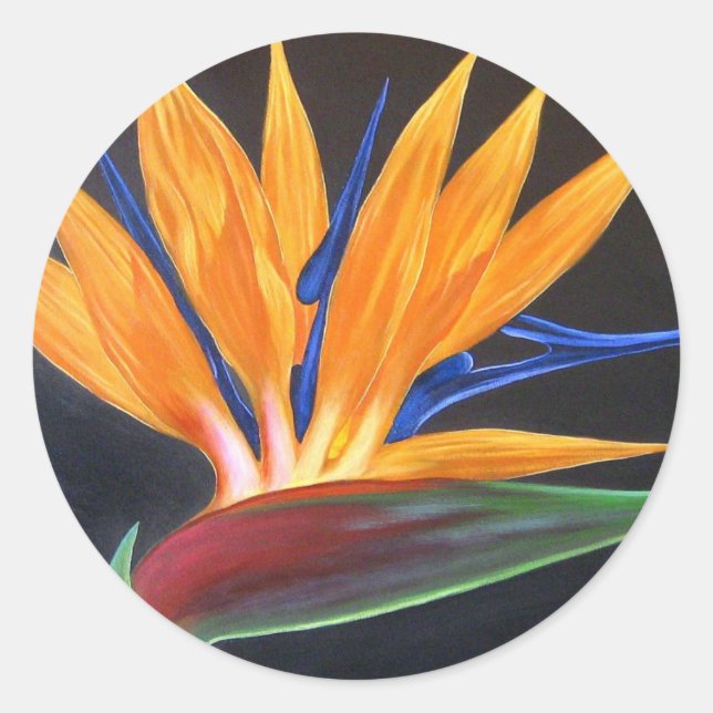 Sticker Rond Beau Oiseau Floral De Paradise Fleur Tropical (Devant)
