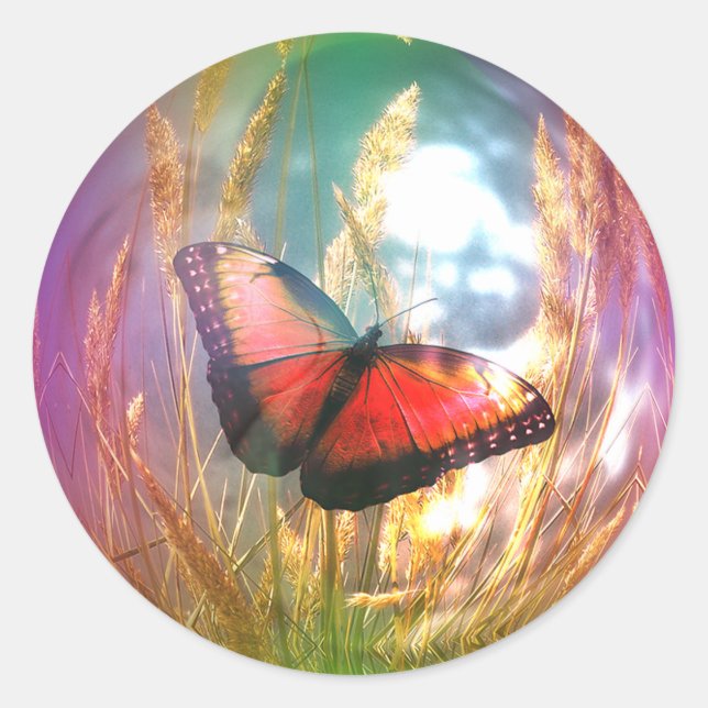 Sticker Rond Beau Papillon (Devant)