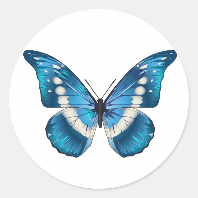 Sticker Rond Beau papillon illustré (Devant)