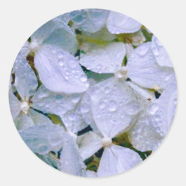 Sticker Rond Beauté blanche