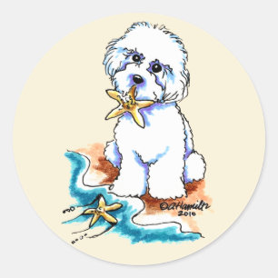 Sticker Rond Bébé Bichon Frise de plage