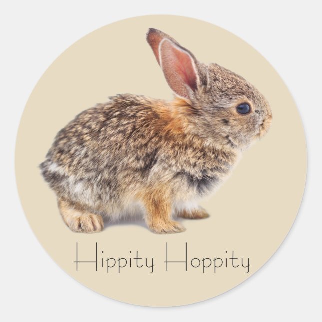 Sticker Rond Bébé Cottontail Rabbit (Devant)