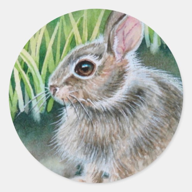 Sticker Rond Bébé lapin de coton d'aquarelle lapin (Devant)