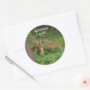 Sticker Rond Bébé mignon Cerf Meilleurs voeux