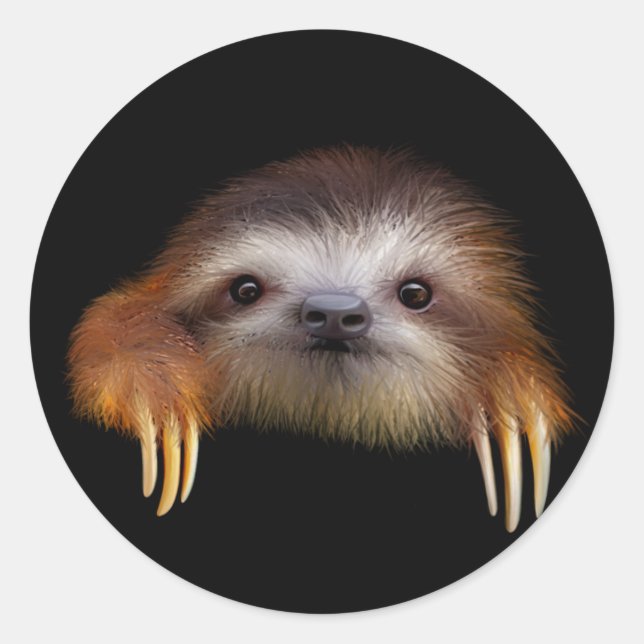 Sticker Rond Bébé Sloth (Devant)