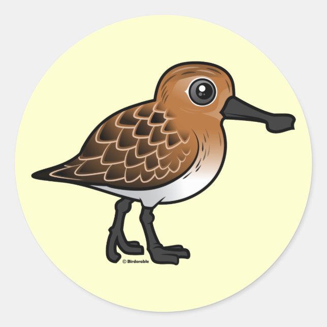 Sticker Rond Bécasseau à bec reproducteur (Devant)