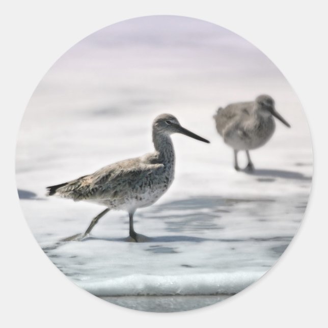 Sticker Rond Bécasseaux (Devant)