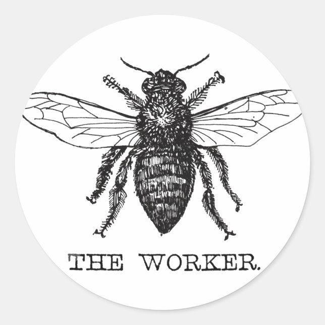 Sticker Rond Bee Worker Honey Black Bumblebee (Devant)