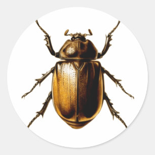 Sticker Rond Beetle