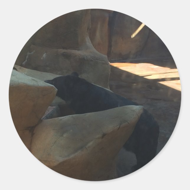 Sticker Rond Bel Ours Noir Grimpeur (Devant)