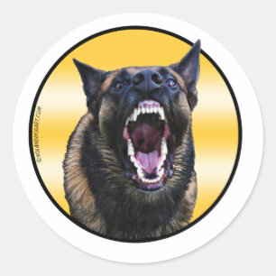 Sticker Rond Belge de écorcement Malinois "Maligator "