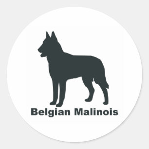 Sticker Rond Belge Malinois