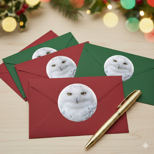 Sticker Rond Belle, Dreamy et Serene Snowy Owl