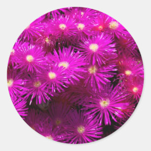 Sticker Rond Belle Jolie Fleurs Violettes Cadeaux Personnalisés