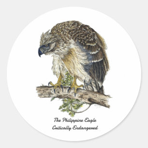 Sticker Rond Belle oeuvre d'aigle philippin en danger