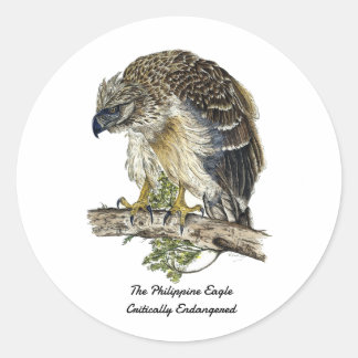 Sticker Rond Belle oeuvre d'aigle philippin en danger