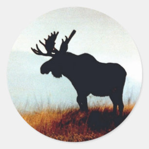 Sticker Rond Belle orignal