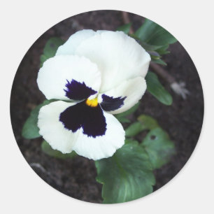 Sticker Rond Belle pensée blanche