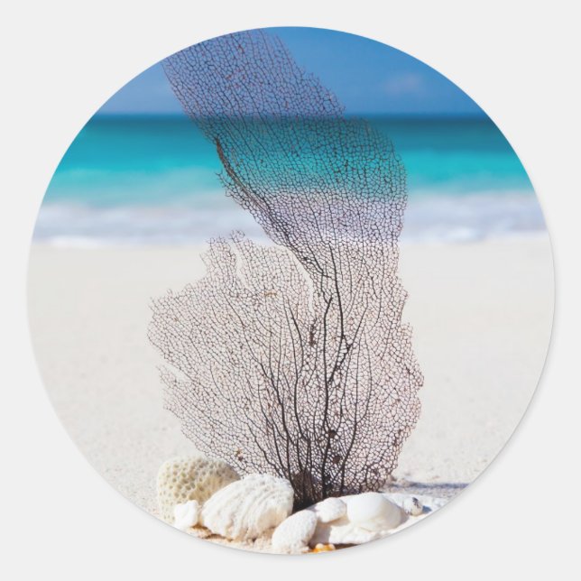Sticker Rond Belle plage Eau Turquoise et Ciel Bleu (Devant)