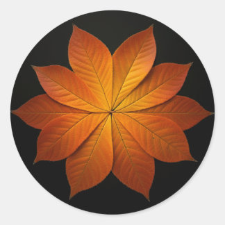 Sticker Rond Belles feuilles automnales