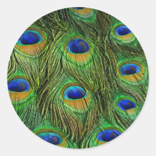 Sticker Rond Belles plumes de paon