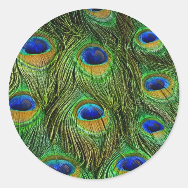 Sticker Rond Belles plumes de paon (Devant)