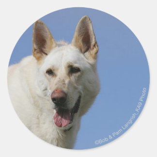 Sticker Rond Berger allemand blanc
