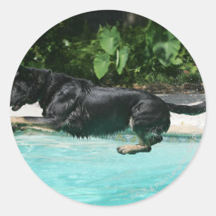 Sticker Rond berger allemand sauter dans l'eau