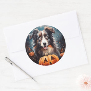 Sticker Rond Berger Australien Halloween avec citrouilles effra