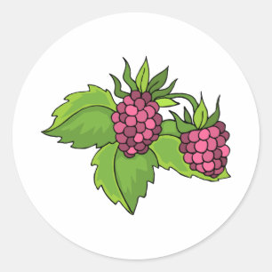 Sticker Rond Berries