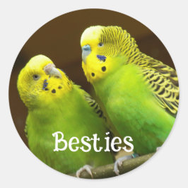 Sticker Rond Besties Green and Yellow Parakeets
