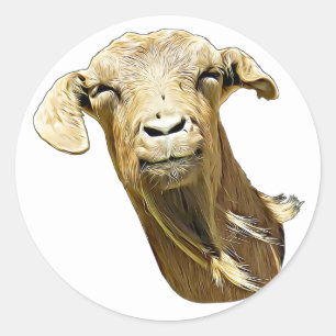 Sticker Rond bête chèvre Visage de ferme animal art