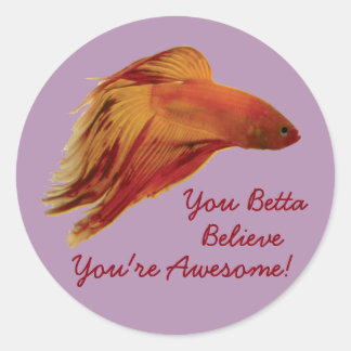 Sticker Rond Betta Believe