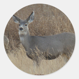Sticker Rond Biche de Mule D14
