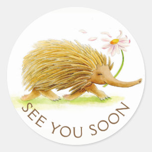 Sticker Rond Bientôt echidna aquarelle couleur blanc art autoco
