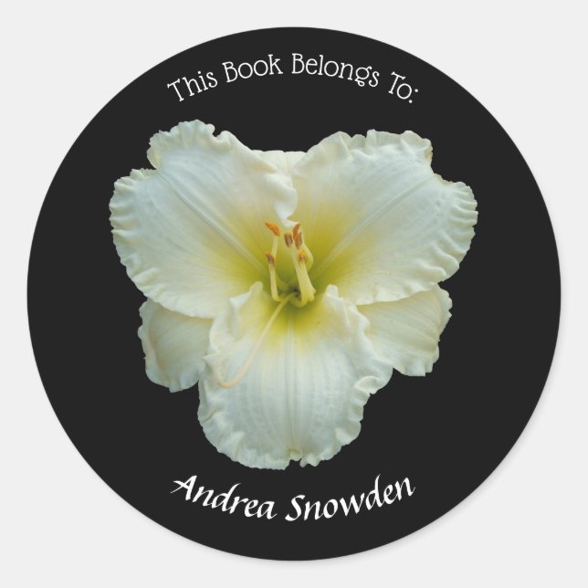 Sticker Rond 'Big Snowbird' Blanc jour sur plaque d'immatricula (Devant)