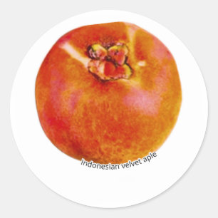 Sticker Rond Bisbul Velours Apple Exotique Rare - Trop Indonési
