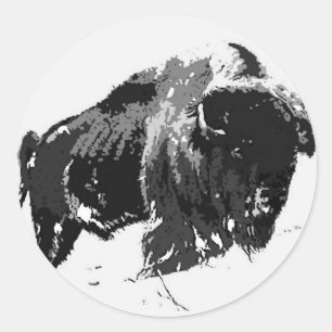 Sticker Rond Bison noir et blanc / Buffle
