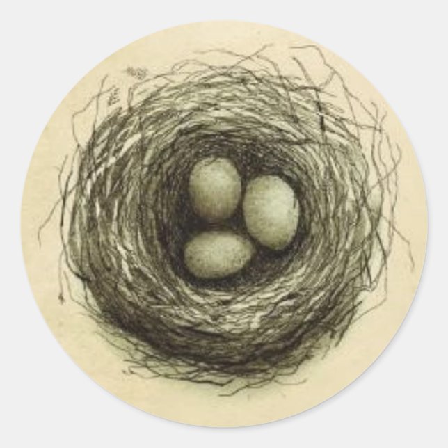 Sticker Rond Bitty Bird Nest (Devant)