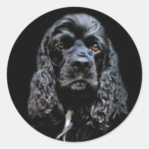 Sticker Rond Black Cocker Spaniel
