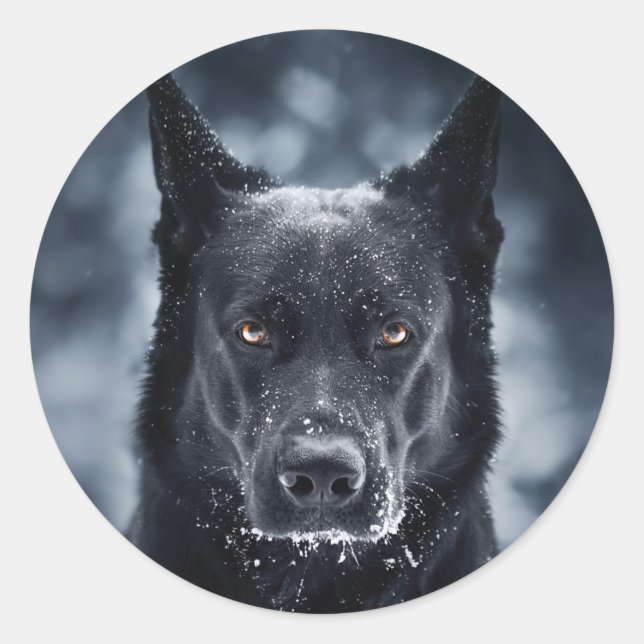 Sticker Rond Black German Shepherd (Devant)