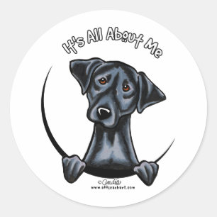Sticker Rond Black Lab C'Est Tout Pour Moi