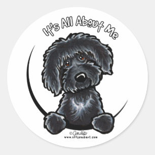 Sticker Rond Black Labradodle IAAM