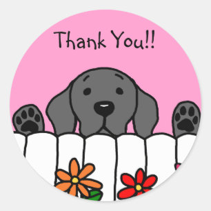 Sticker Rond Black Labrador vous regarde