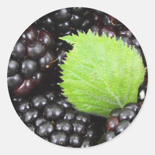 Sticker Rond Blackberry (Devant)